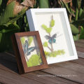 Good quality 3D Deep solid wood display shadow box for plant insects butterfly specimens frame